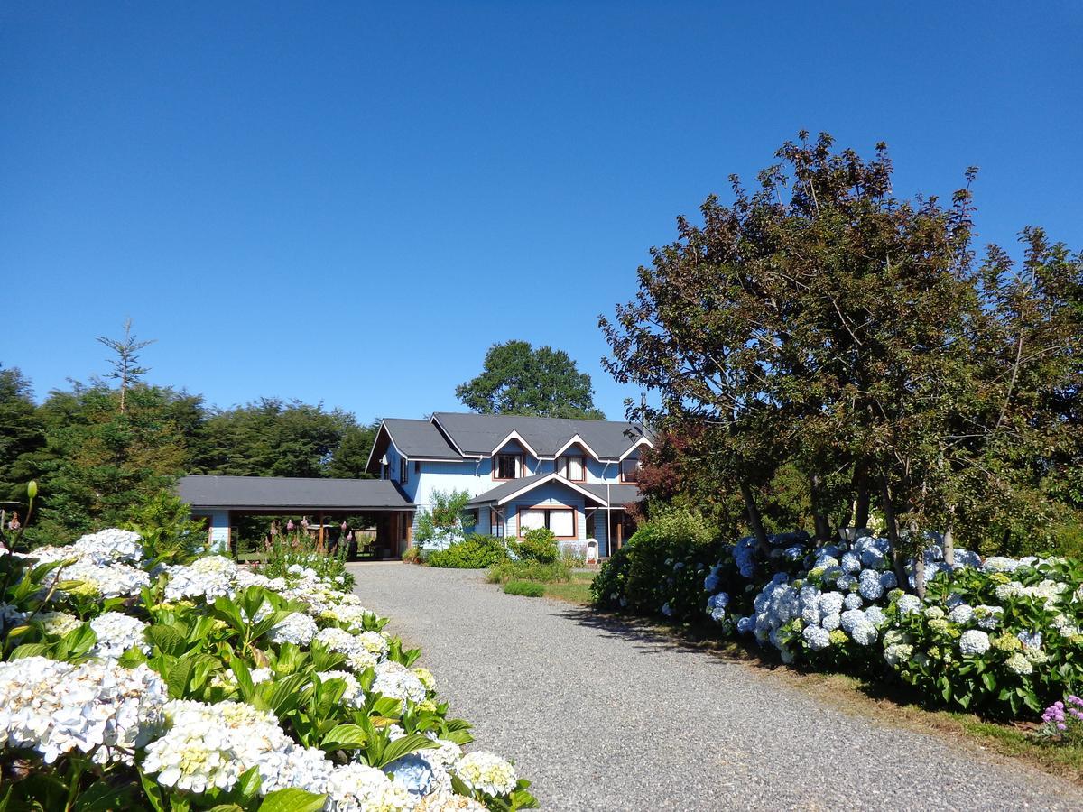 Hostal Tia Lety Villarrica Zewnętrze zdjęcie